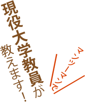 現役大学教員がマンツーマンで英語を教えます